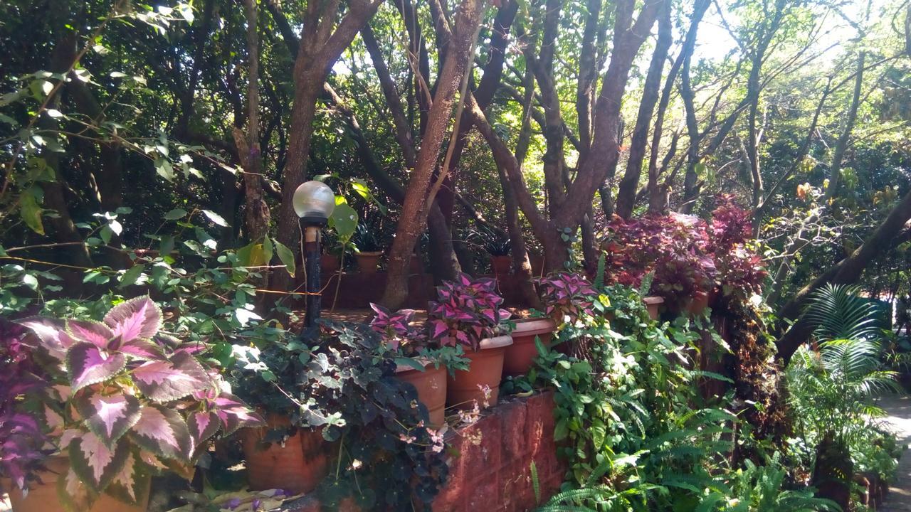 Hotel Tree Top Mahābaleshwar Extérieur photo